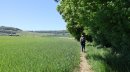 Lisière sud de la forêt